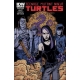 Teenage Mutant Ninja Turtles (2011 IDW) #11B