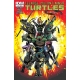 Teenage Mutant Ninja Turtles (2011 IDW) #19A