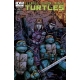 Teenage Mutant Ninja Turtles (2011 IDW) #19B