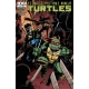Teenage Mutant Ninja Turtles (2011 IDW) #22B