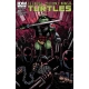 Teenage Mutant Ninja Turtles (2011 IDW) #25B