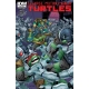 Teenage Mutant Ninja Turtles (2011 IDW) #43A